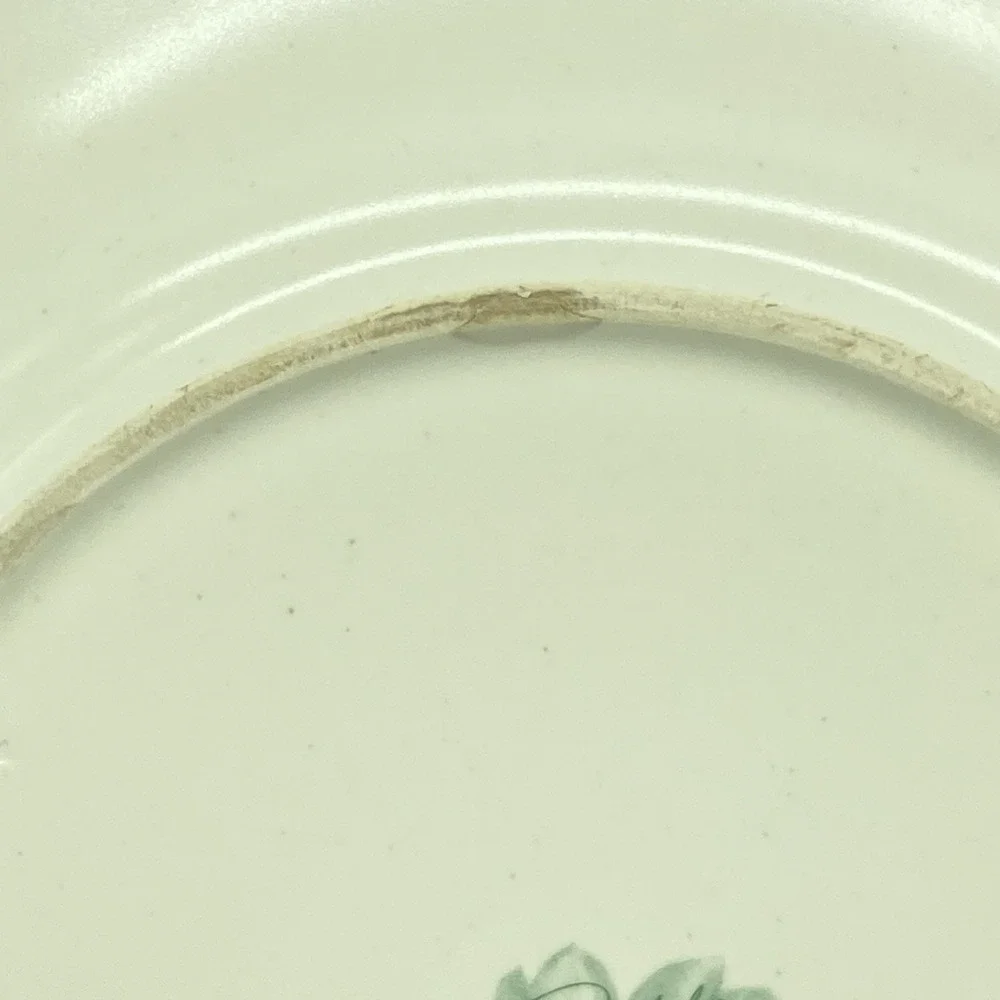 Portfolio Pfaltzgraff Naturewood Dinner Plates 11